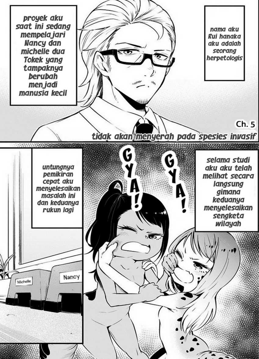 Hachuurui-chan wa Natsukanai Chapter 5 – halaman 1