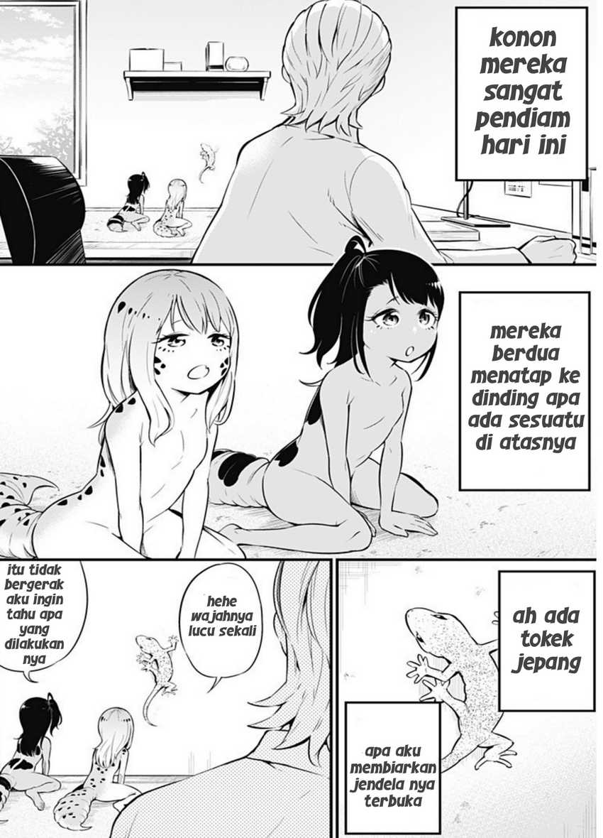 Hachuurui-chan wa Natsukanai Chapter 5 – halaman 2