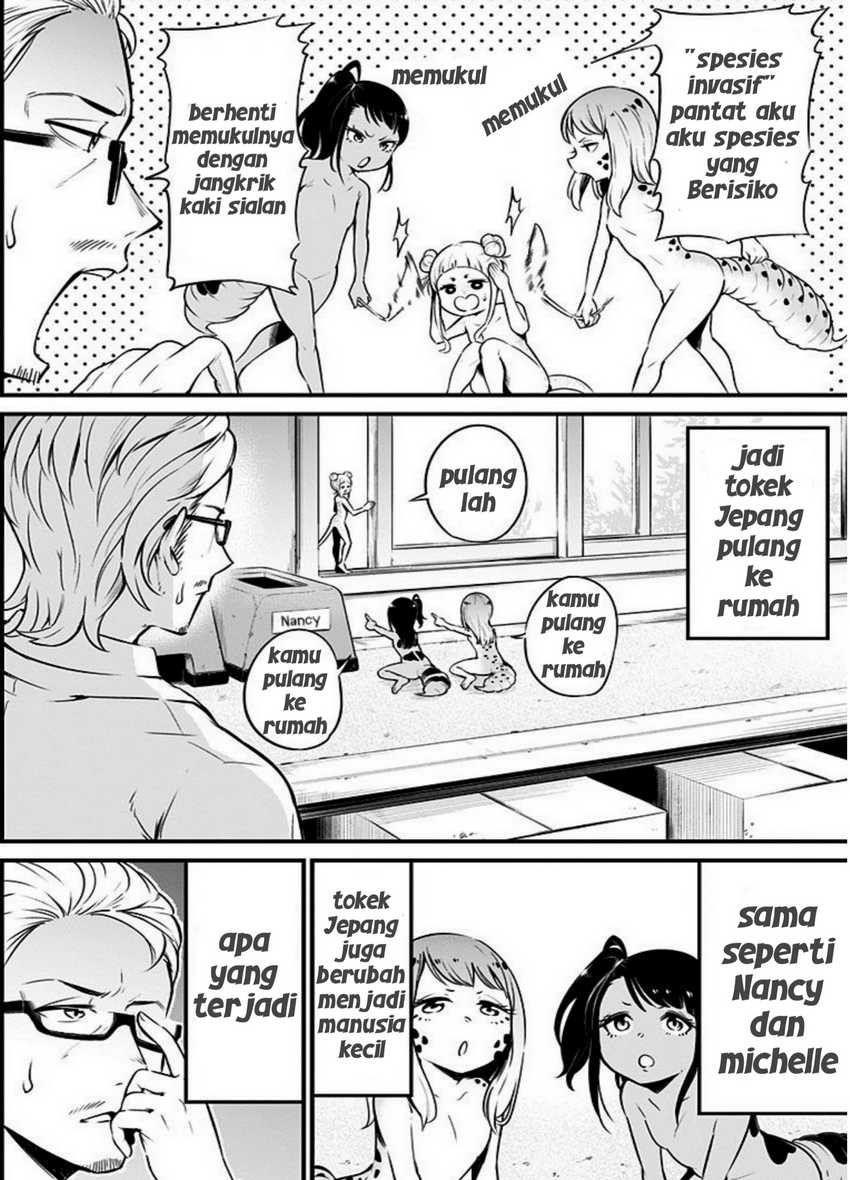 Hachuurui-chan wa Natsukanai Chapter 5 – halaman 8