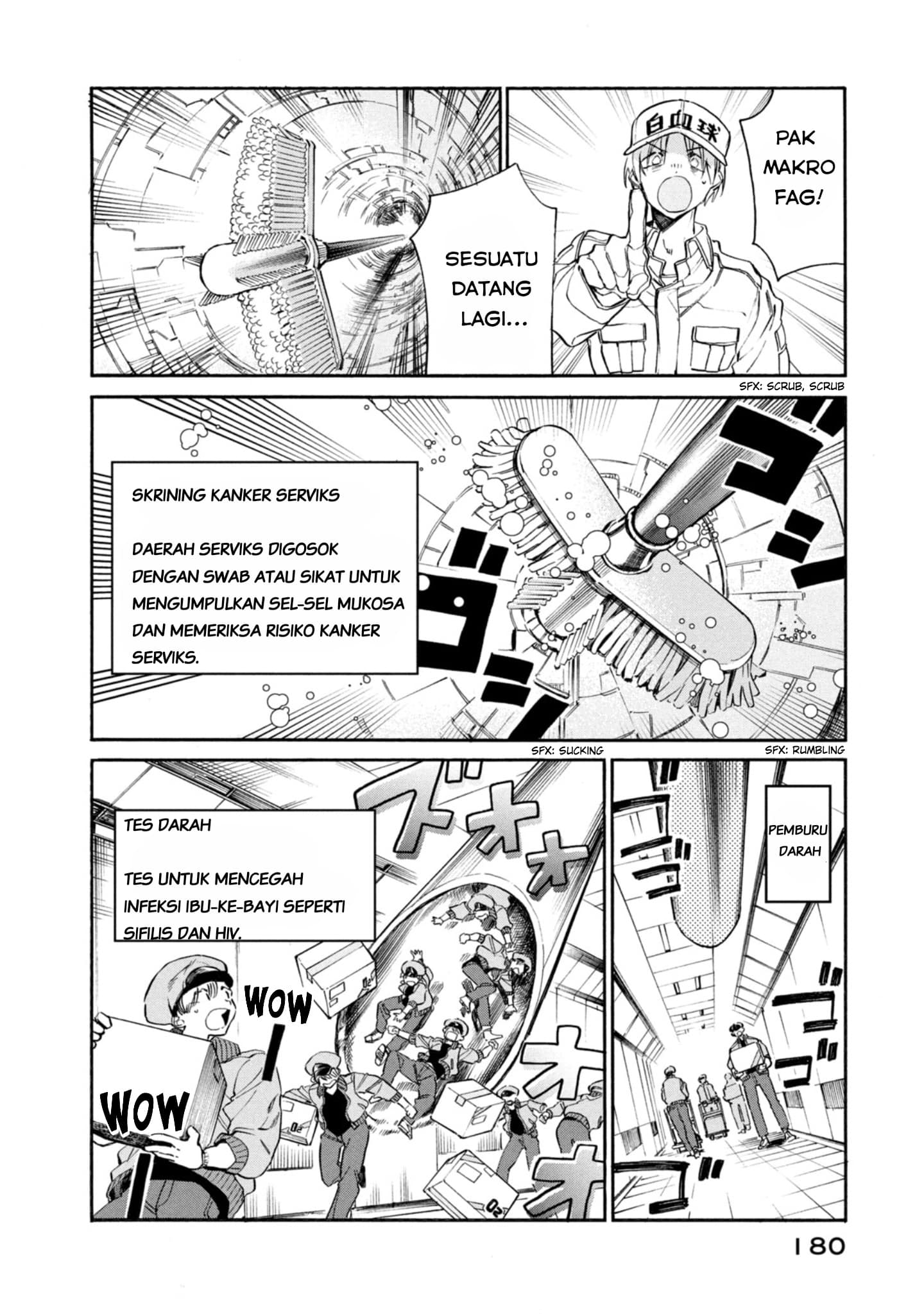 Hataraku Saibou LADY Chapter 5 – halaman 32
